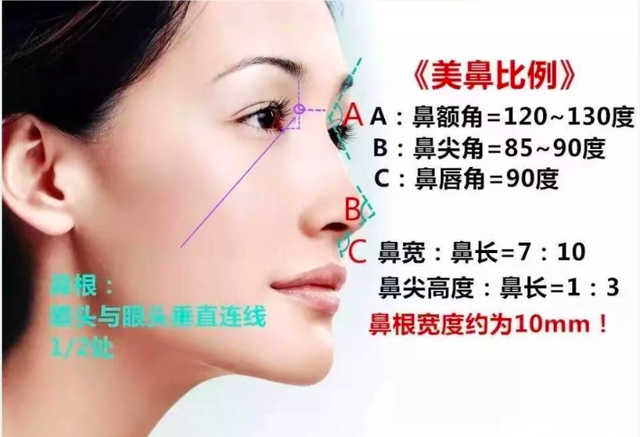 隆鼻术前功课:最完美的鼻子黄金比例是什么? - 知乎