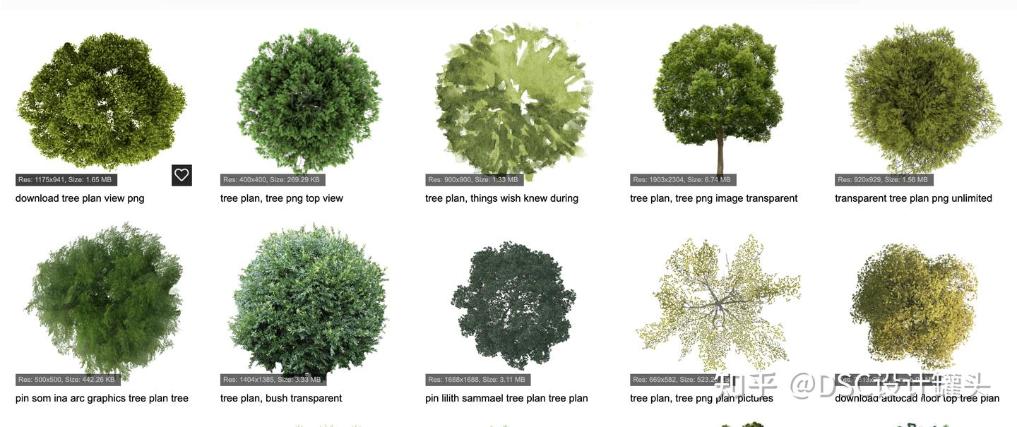 这7个免费下载免抠树木与植物的网站，建筑景观生必收藏！ - 知乎