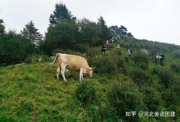 【徒步常识】石家庄拓展 | 徒步后,如何快速恢复,6个方法带您起飞 - 知乎