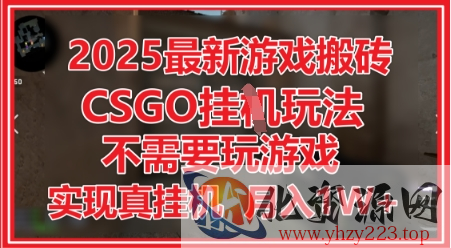 2025最新游戏搬砖，CSGO挂G，不需要玩游戏，实现真挂G，月入1W+【揭秘】