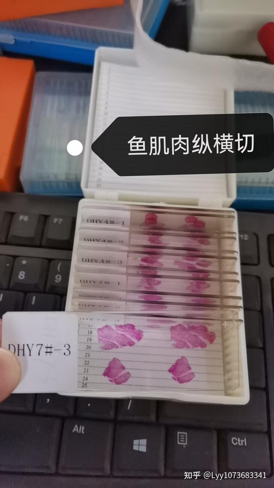 石蜡切片最后用中性树胶封片时，如何操作才能不产生气泡和树胶不溢出来? - 知乎