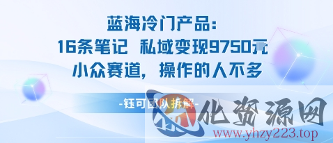 蓝海项目：16条笔记私域变现9750米小众赛道操作的人不多