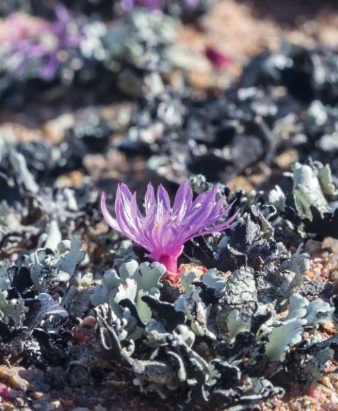 v2-23e55f5613b34b80a45d5e9023951d0b_1440w.jpg?source=172ae18b