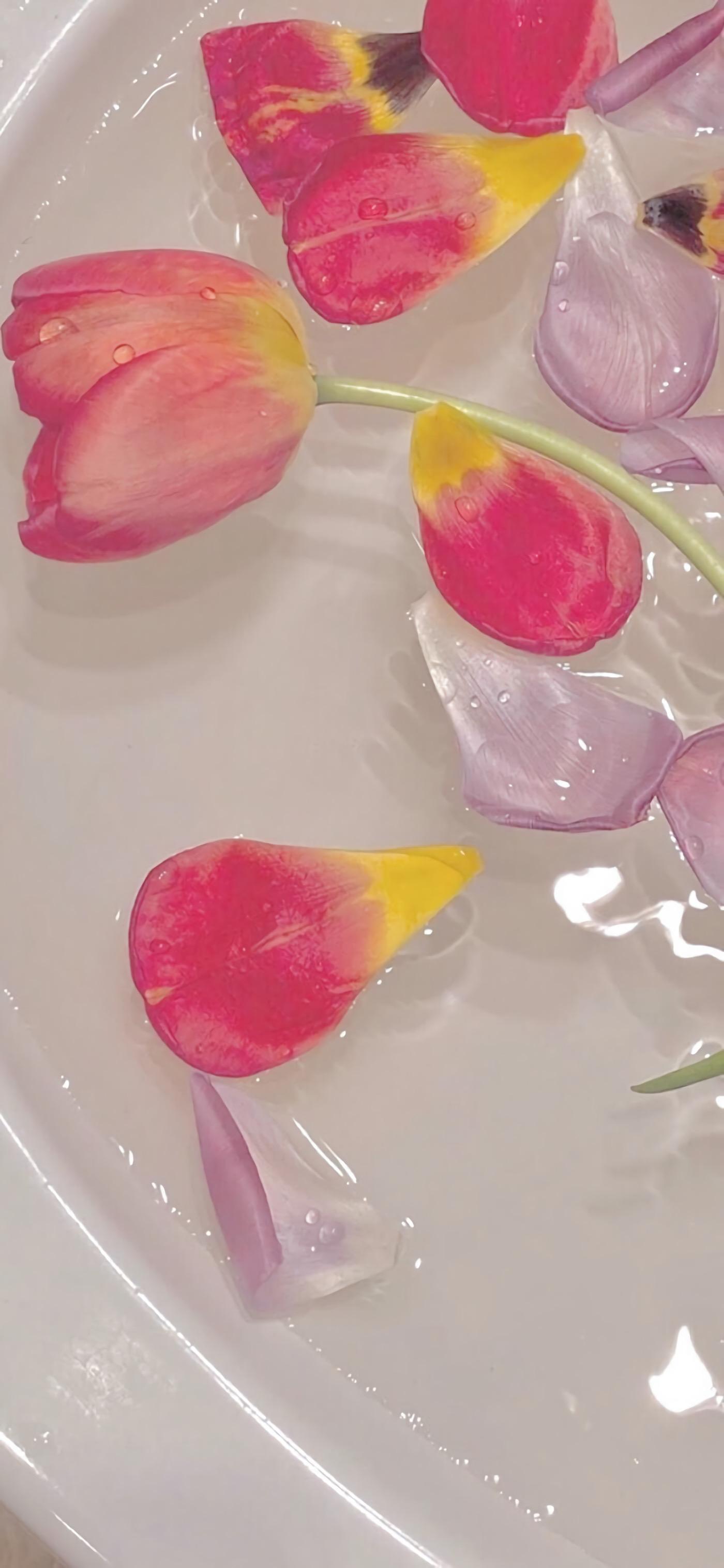 有哪些适合iphone11用的高清壁纸