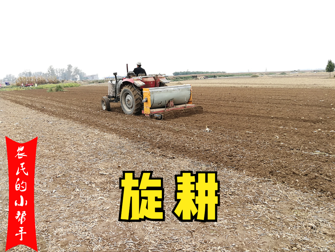 种植小麦要高产，为何播前深耕是关键？旋耕不好吗？ - 知乎