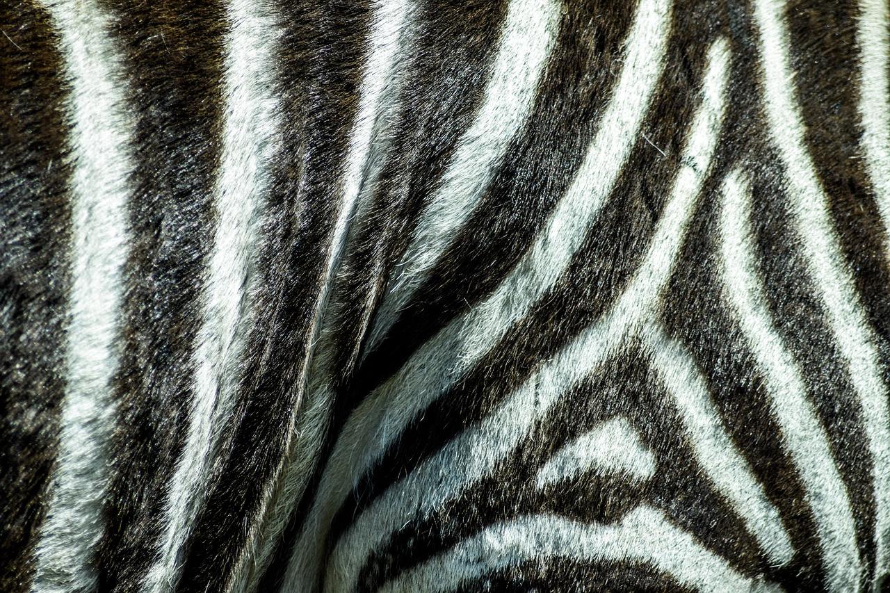 4. 蚌埠动物园方位