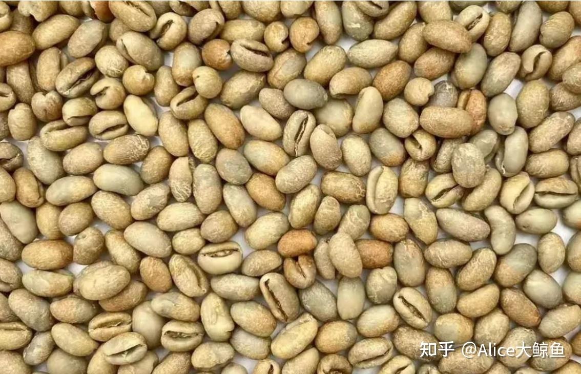 爪哇（Java）：小众品种里的抢手货- 知乎