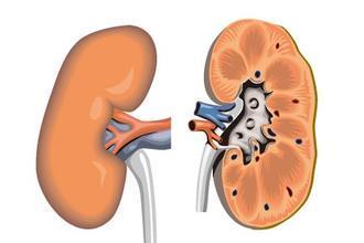 v2-2448fb0373e5ec473f575a30a0af1164_1440w.jpg?source=172ae18b