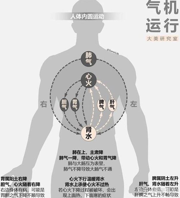 一张图看懂人体的气机运行 - 知乎