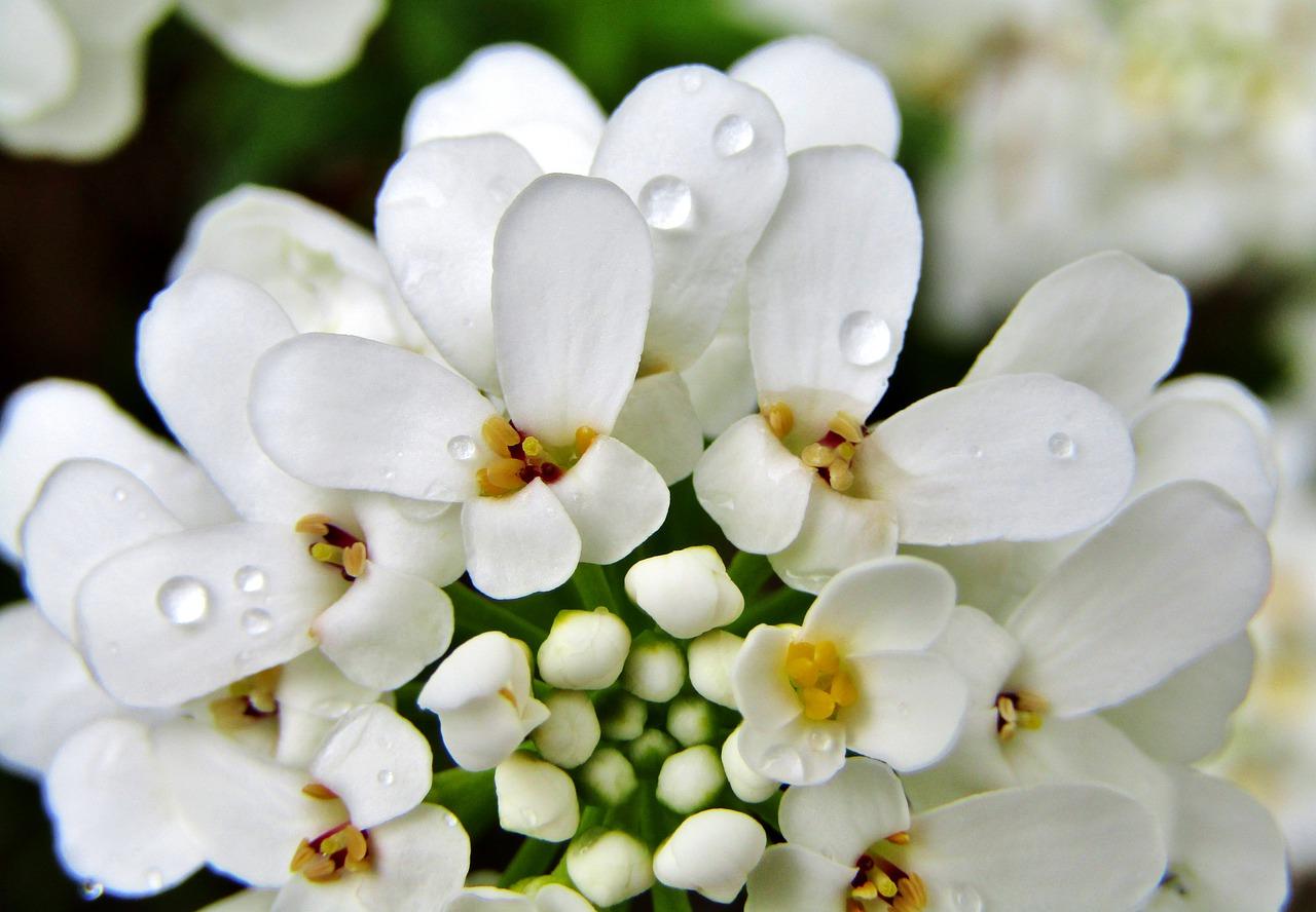 3. 坡地填埋方法