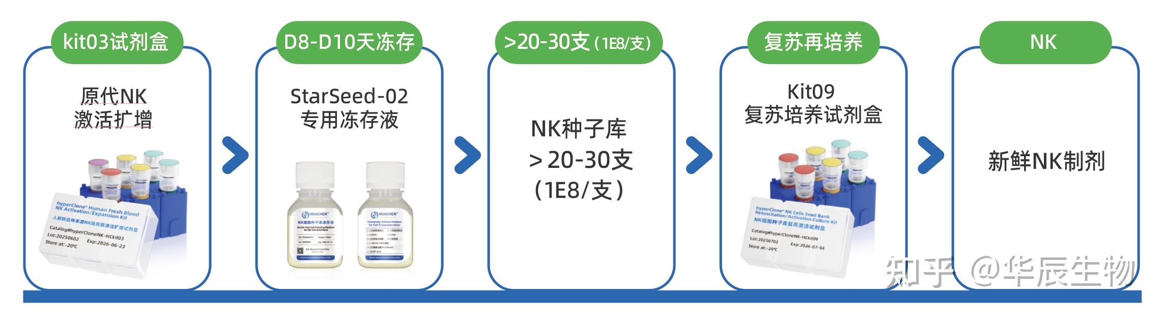 苏州华辰生物——解决方案(NK细胞种子库冻存复苏再培养方案完美组合) - 知乎