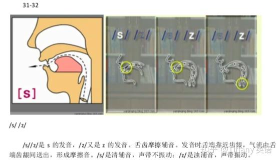 48个国际音标发音舌位图 - 知乎