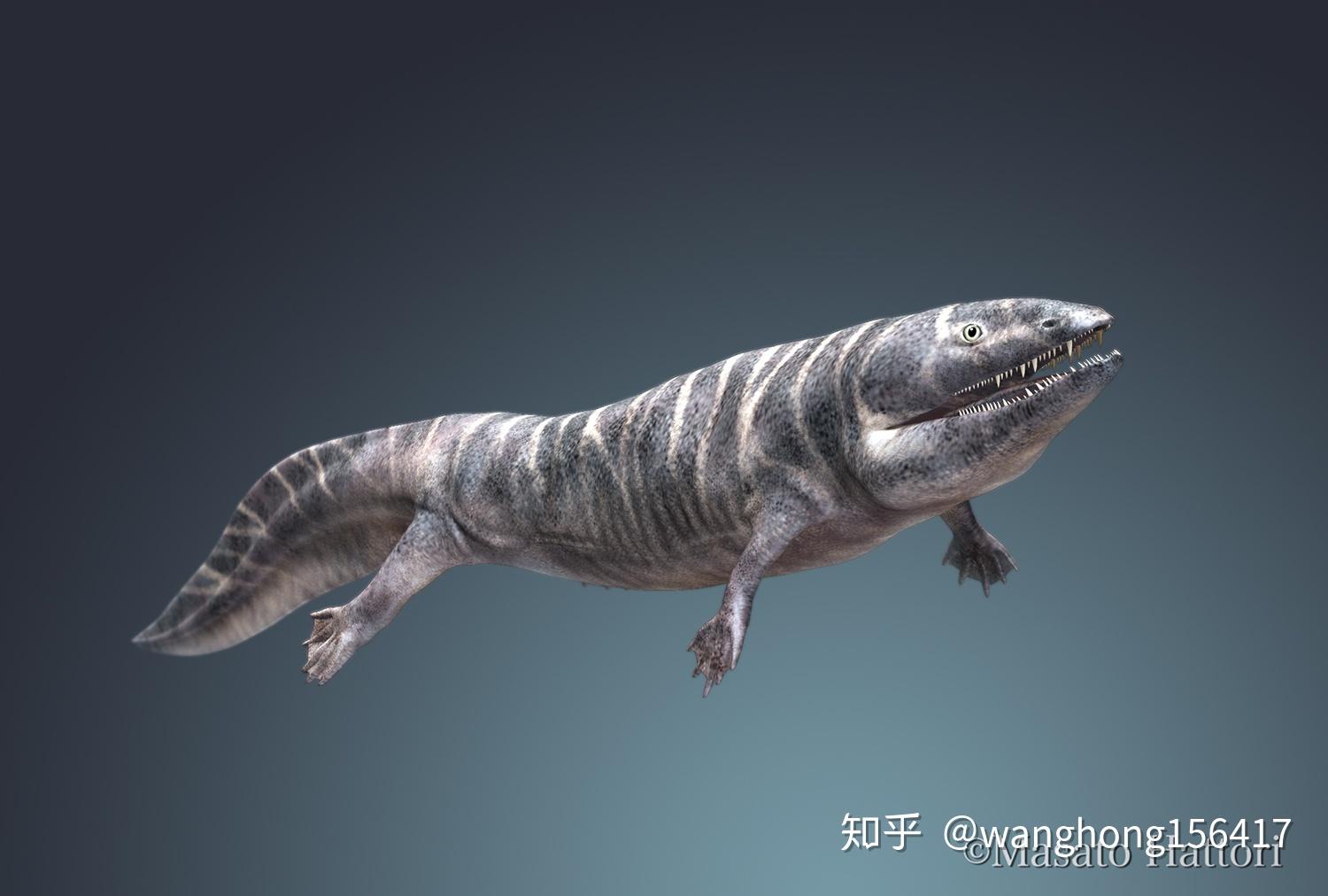 古生代各时期最大的动物是哪些