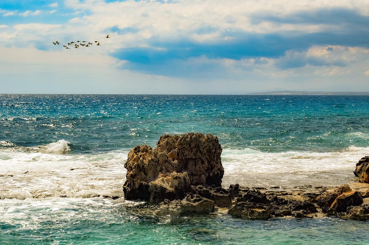 杜鹃鸟怎么过冬