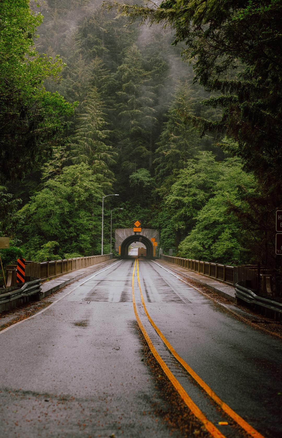 接受真相，就是接受真相背后的荒唐- 知乎