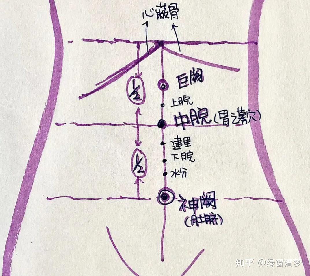 倪海厦针灸课笔记(05)- 任脉之水分、下脘、中脘、巨阙及基本补泻手法 - 知乎