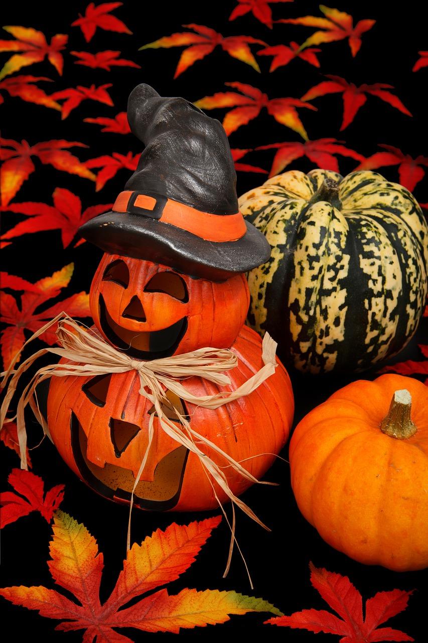 鹅掌秋家居怎么样