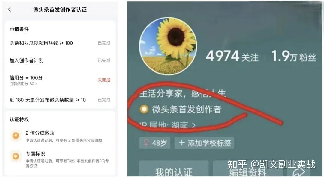 今日头条创作者认证类型(今日头条创作者怎么认证过)