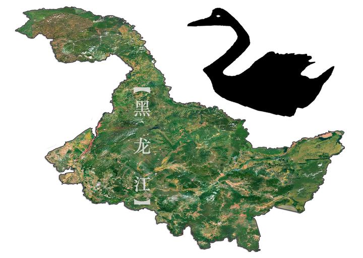 黑龙江省地图像什么,像天鹅,像梅花鹿,像恐龙,您认为呢