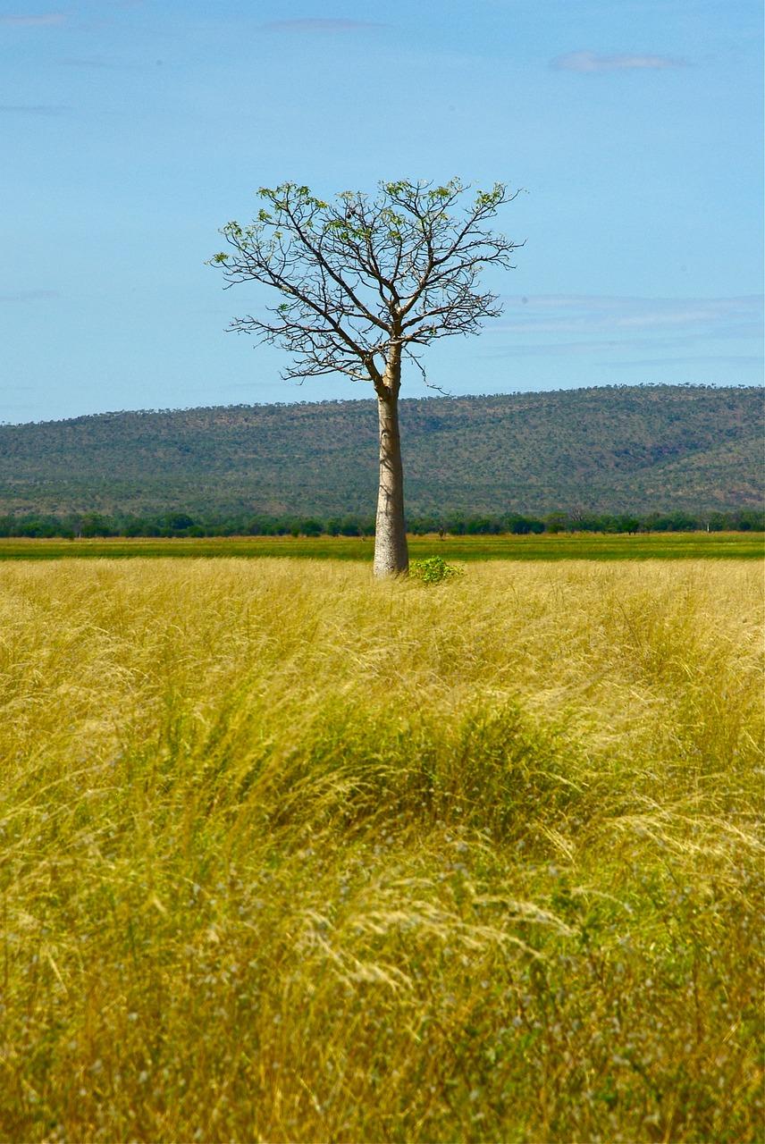 为什么重庆土地供应大