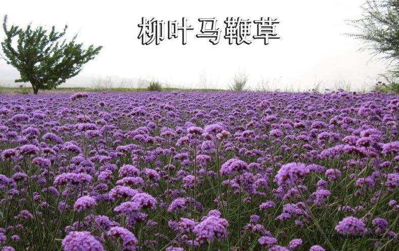 v2-25f5228baaa98221229a3bd22be60598_1440w.jpg?source=172ae18b