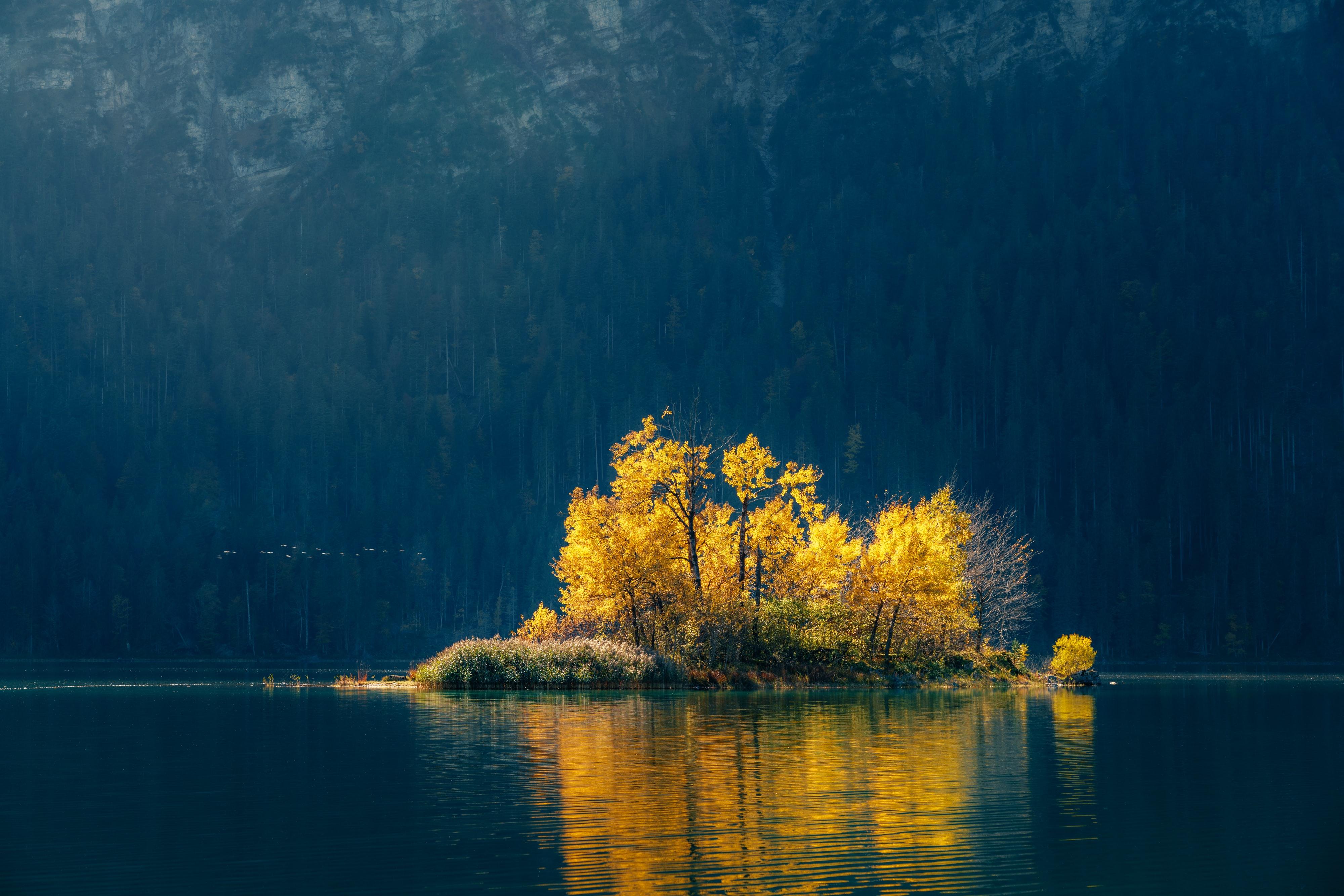 有没有清晰度超高的4k,8k壁纸? - 知乎