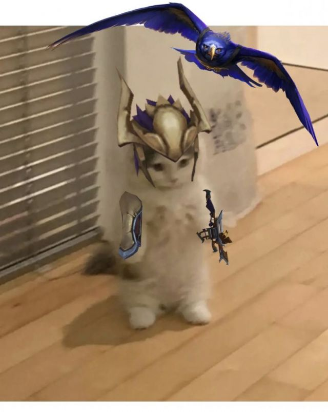 你都有哪些英雄联盟魔法猫咪的表情包