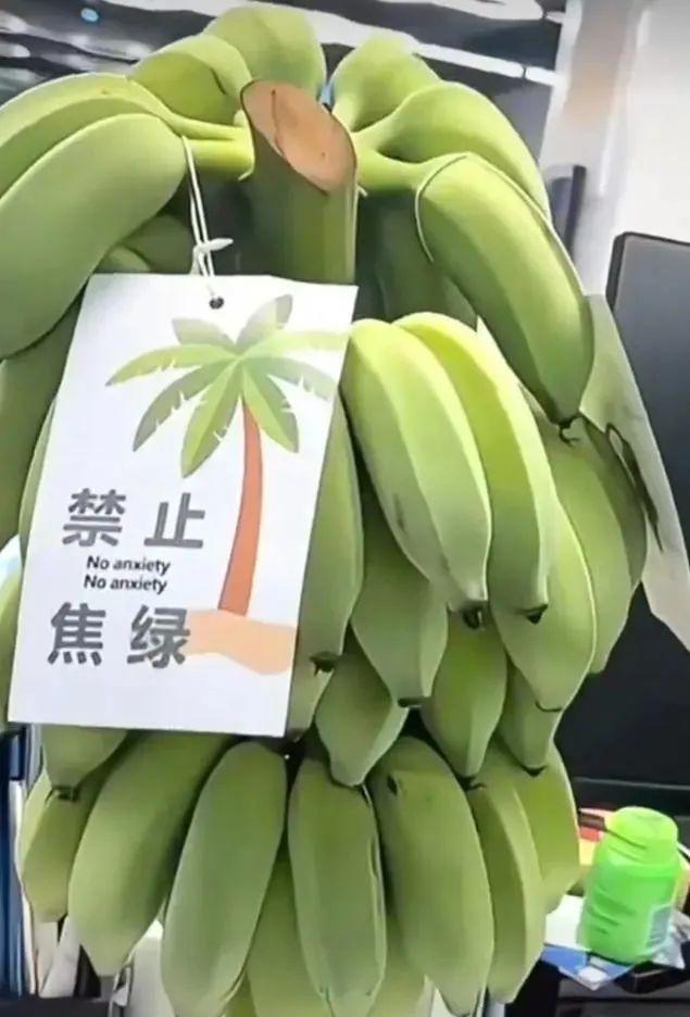拥抱“禁止焦绿”:乐观人生态度在年轻人中的流行与影响 - 知乎