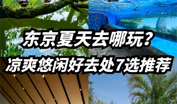 东京夏天|凉爽悠闲度过一天好去处7选🌳 - 知乎
