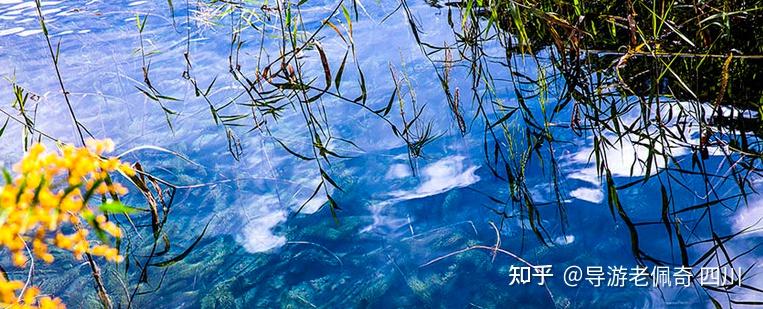 九寨沟五花海拥有怎样绝美的景色？ - 知乎