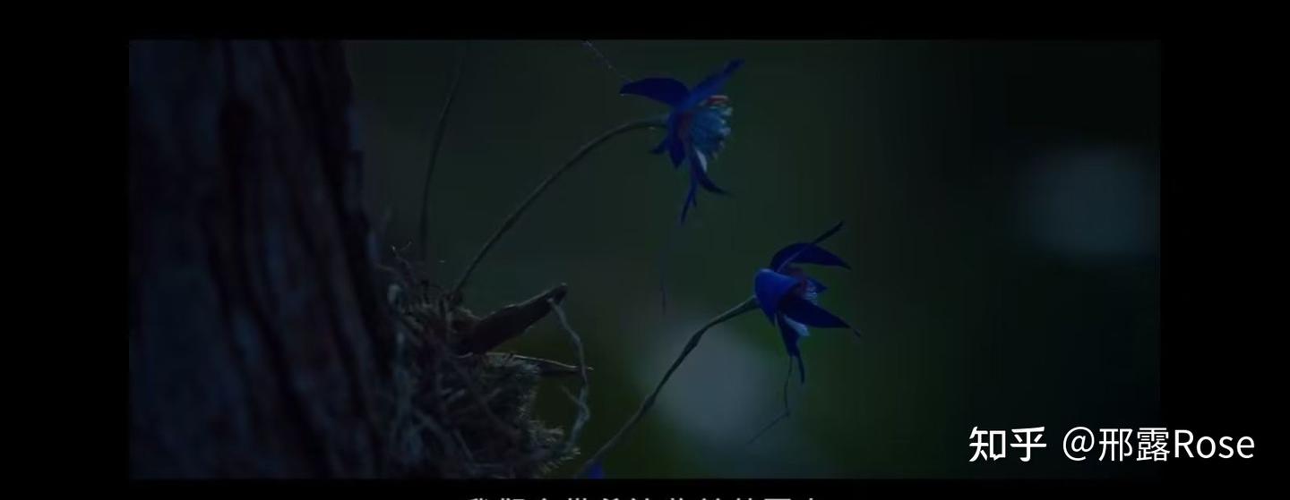 《小小姐们》三个女孩的斗争故事 - 知乎