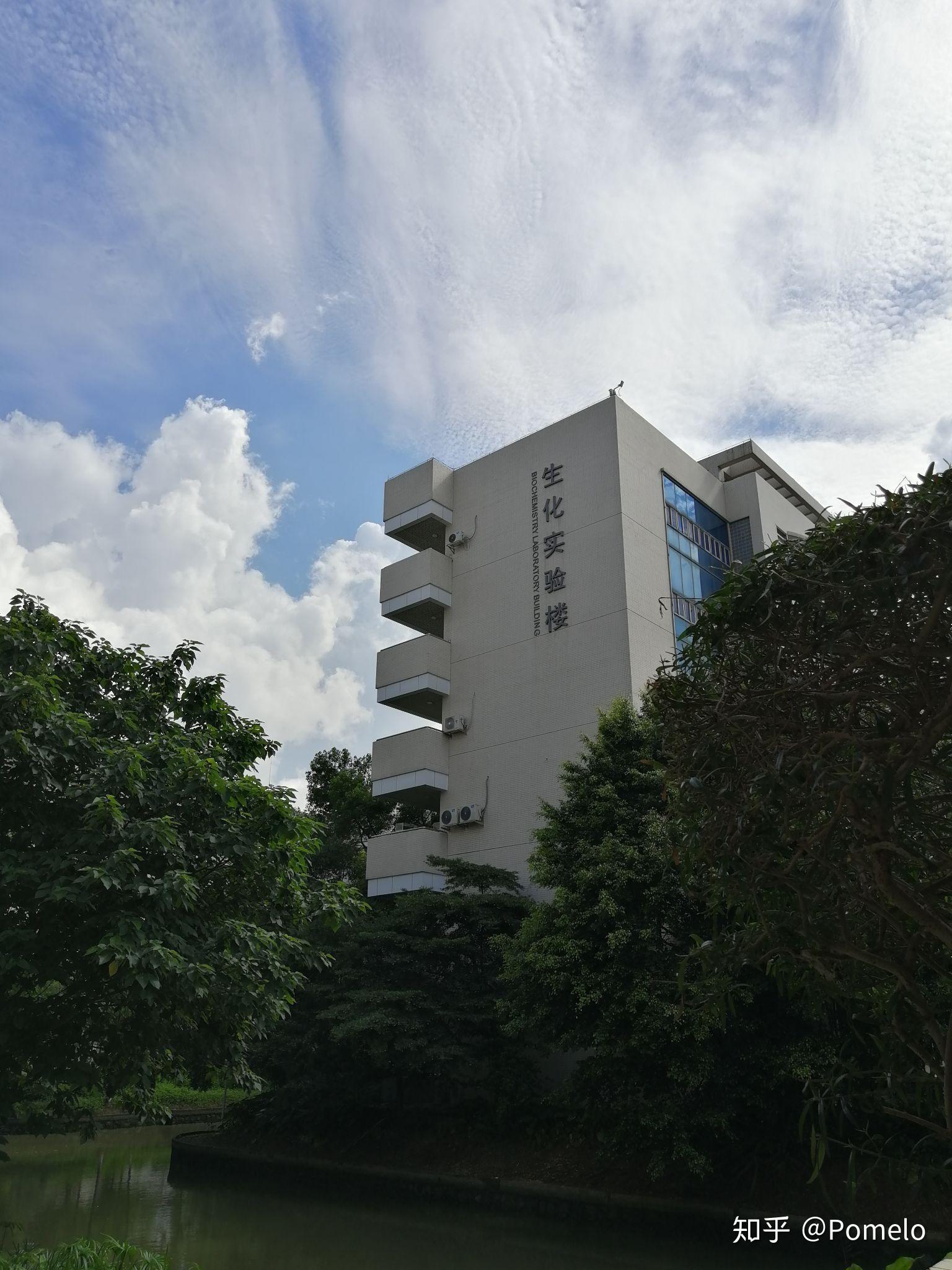 广州大学的校园环境如何? - 知乎