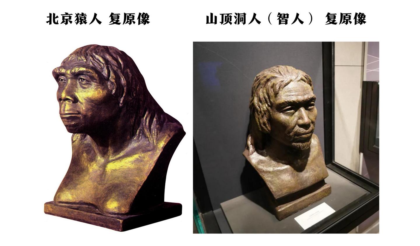 [图说]中国国家博物馆的稀世国宝们－－远古时期之猿人、智人与新旧石器时代的划分 - 知乎
