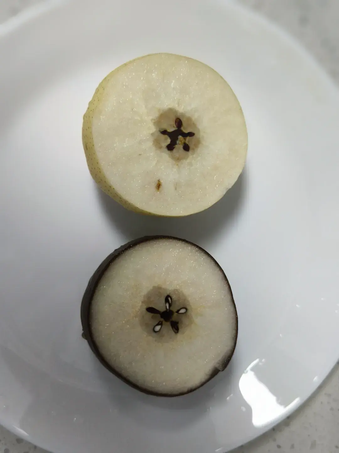 价格不菲的藏乌梨,究竟是何来历? - 知乎