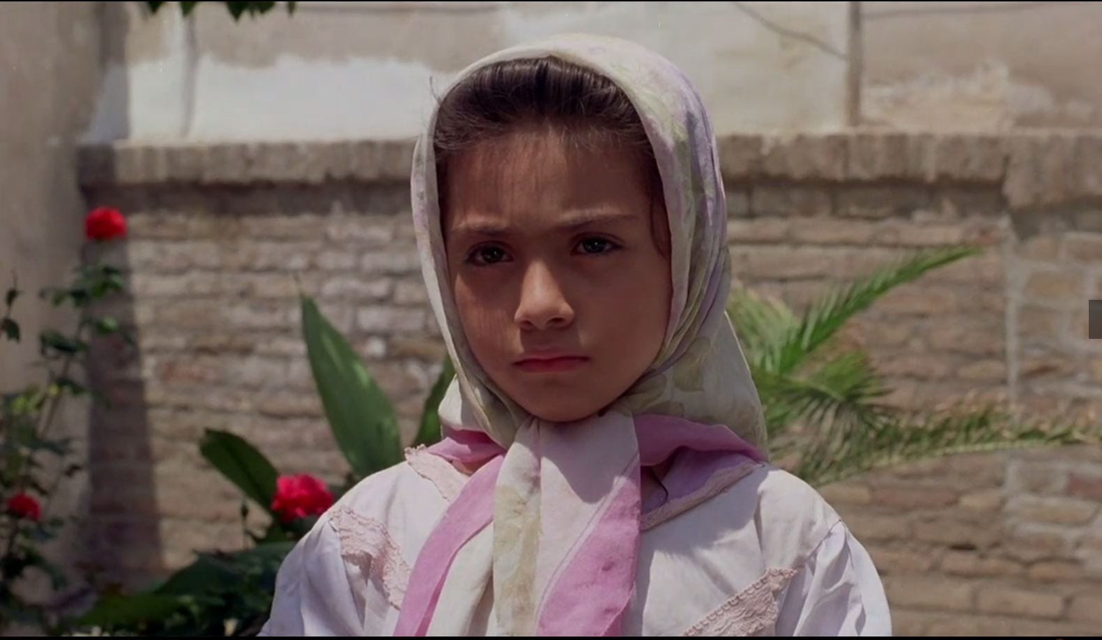 伊朗电影小鞋子中什么最感动你