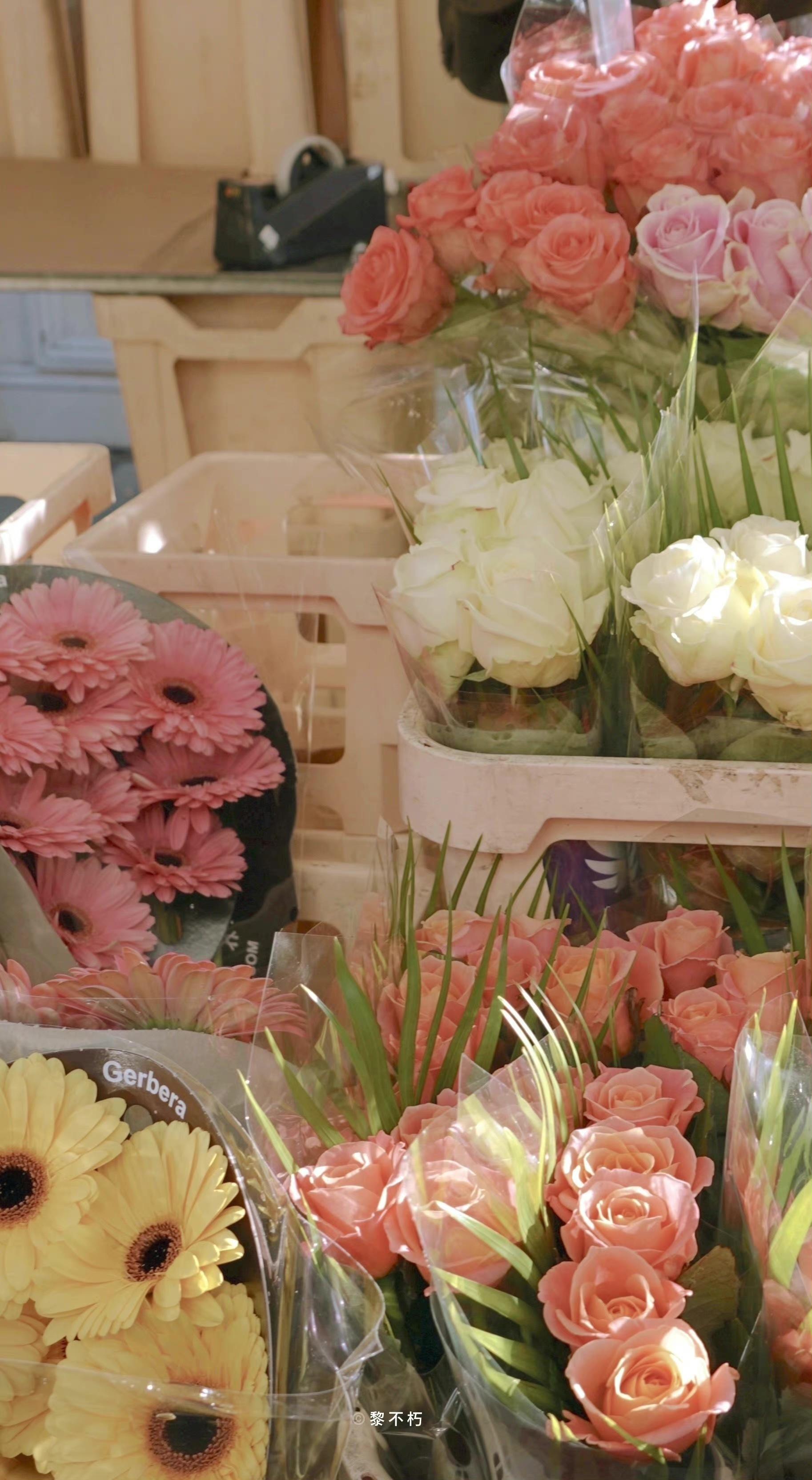 有没有这样关于玫瑰花的微信背景图或者有意境的文字背景图? - 知乎