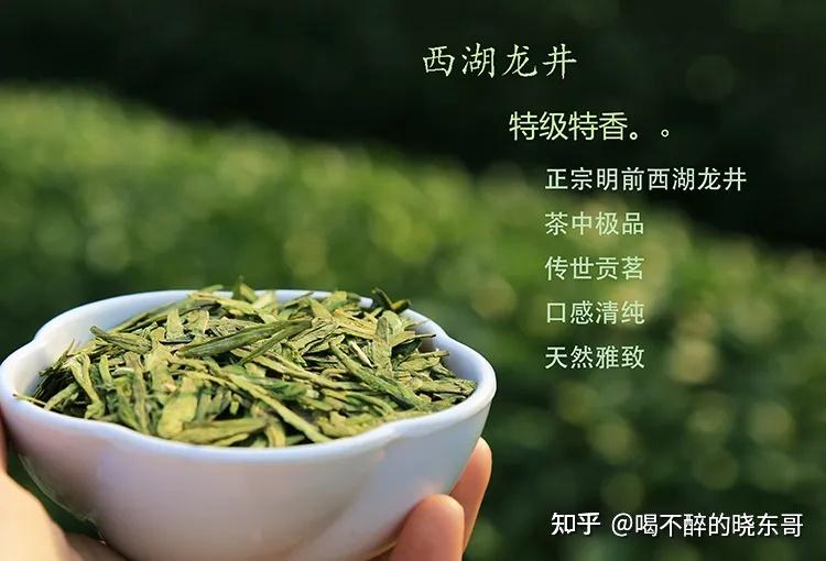 2023 年春季有哪些值得入手的春茶呢?