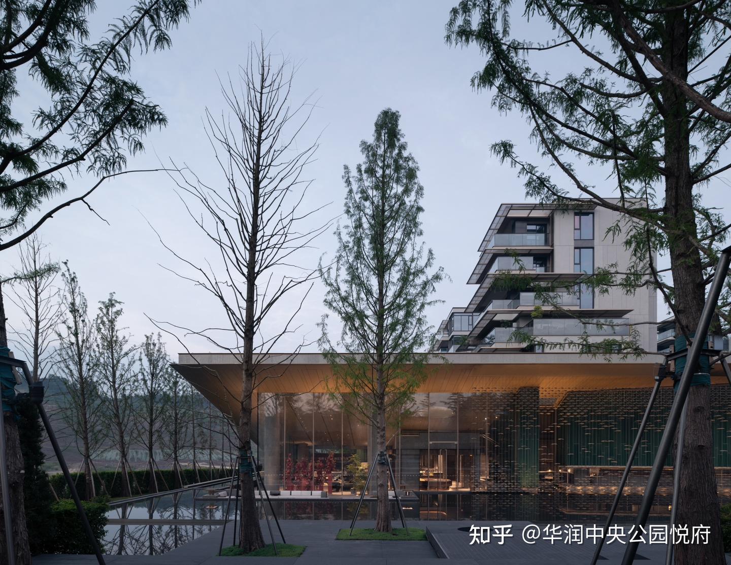 华润中央公园悦府怎么选? - 知乎