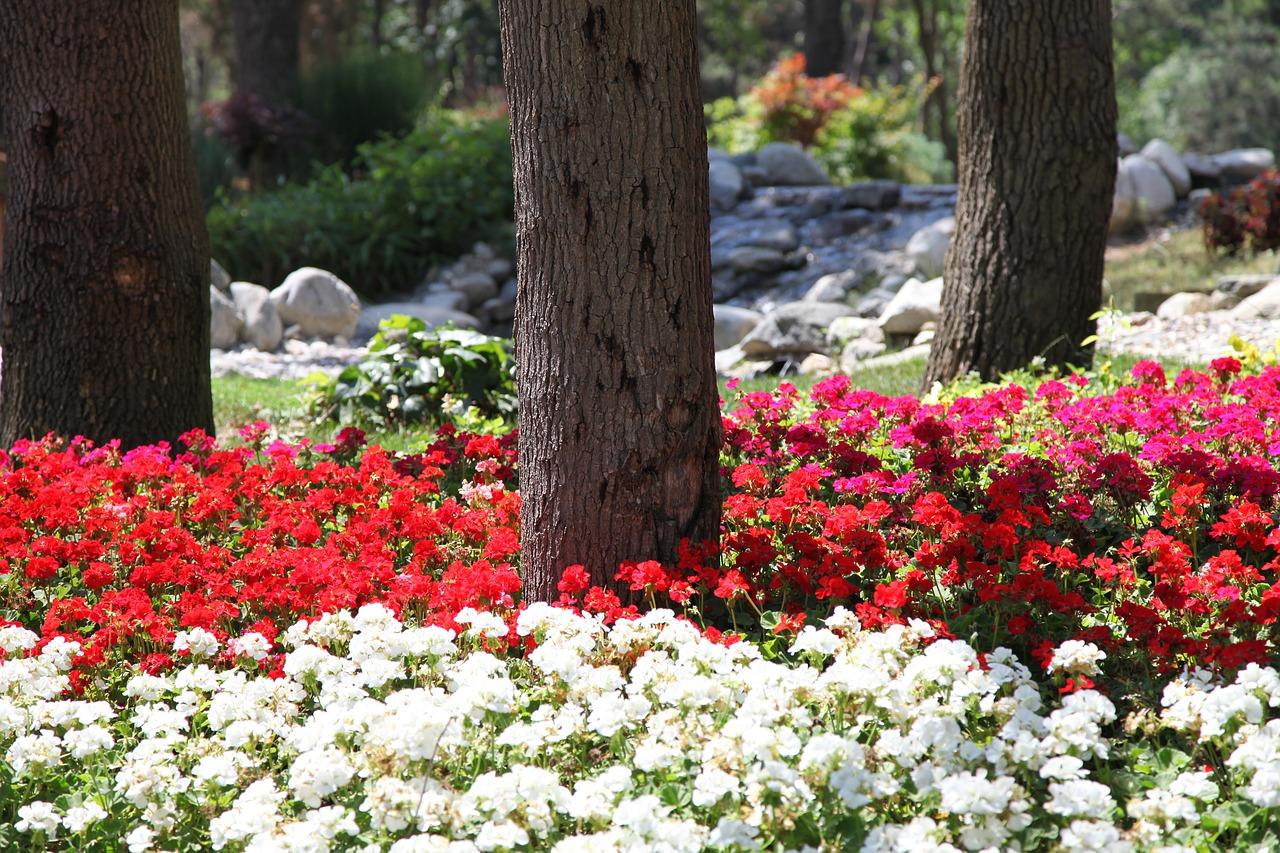 文昌位植物布局