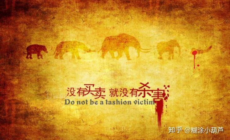 《百龟图》之真鳄龟 - 知乎