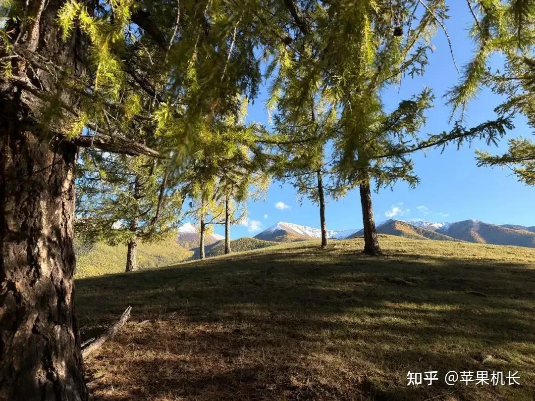 iPhone 17 体验_苹果17_iPhone 17 优缺点分析