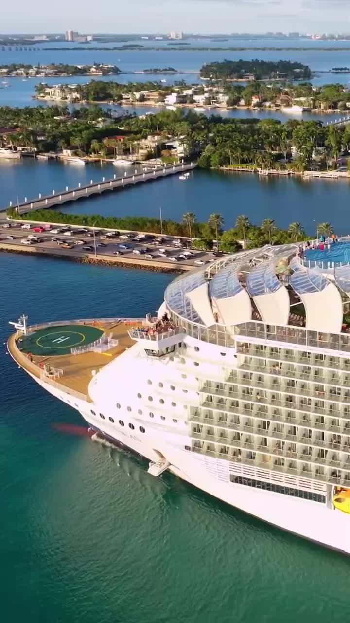 当午后邂逅海上嘉年华,此刻氛围拉满.#唐加文