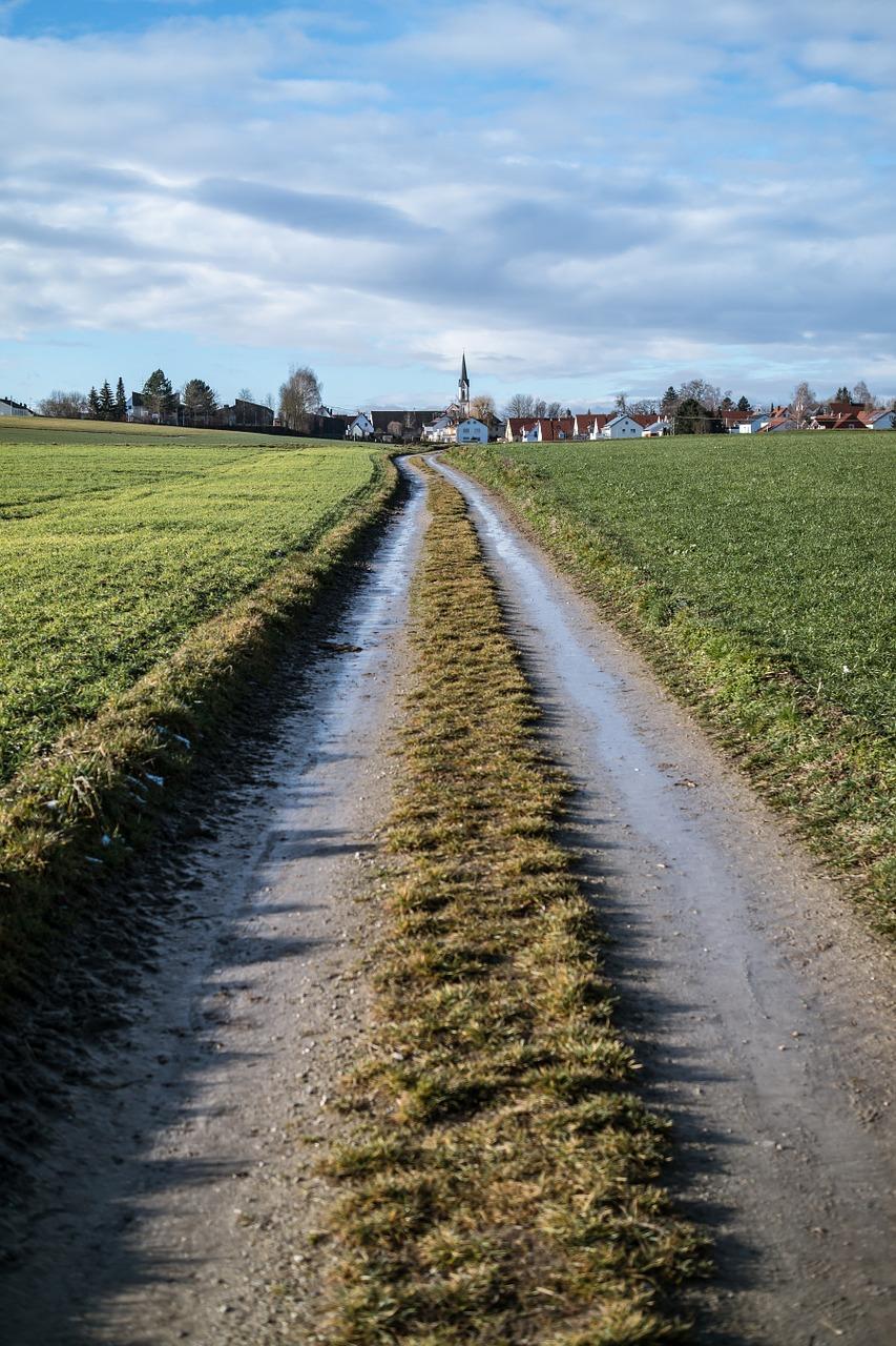 2. 中心区稀缺房源