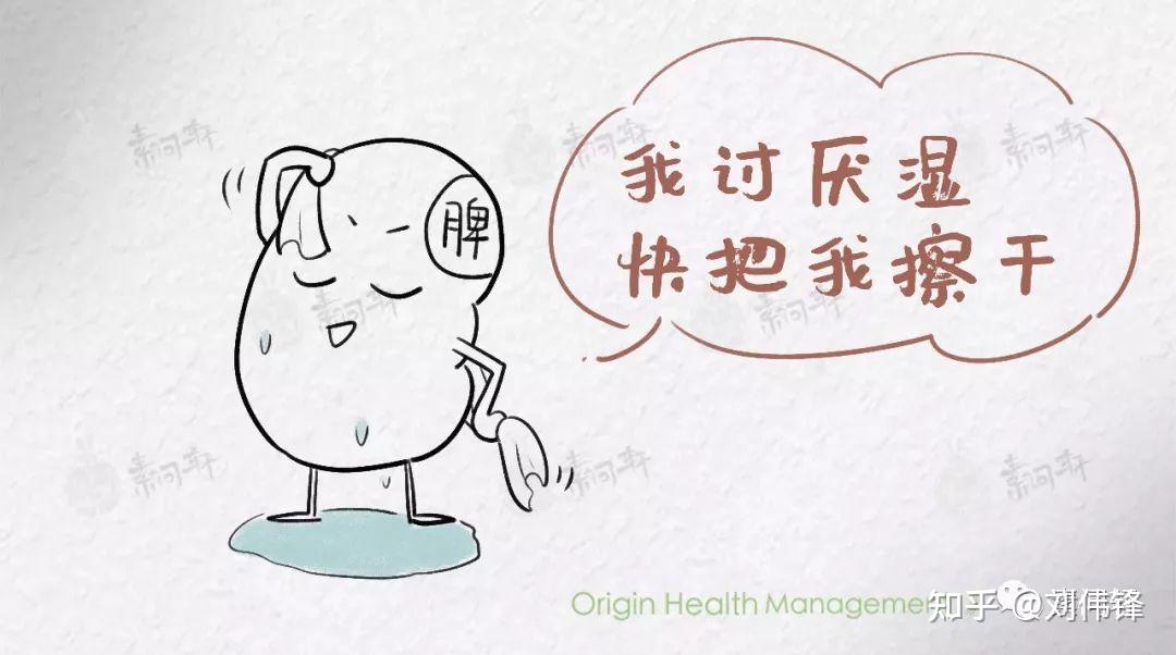 脾虚湿气重的症状有哪些表现? - 知乎