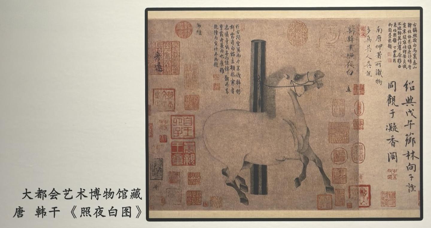 马年观马 - 知乎
