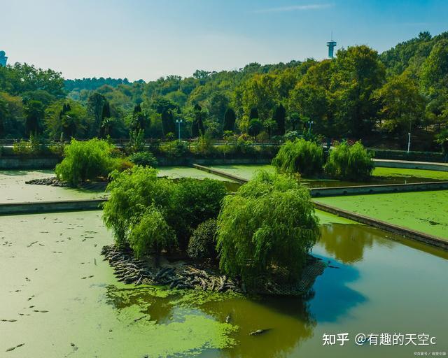 鼍皮做鼓、仙鹤骨做笛，远古时期人们的别样娱乐方式 - 知乎