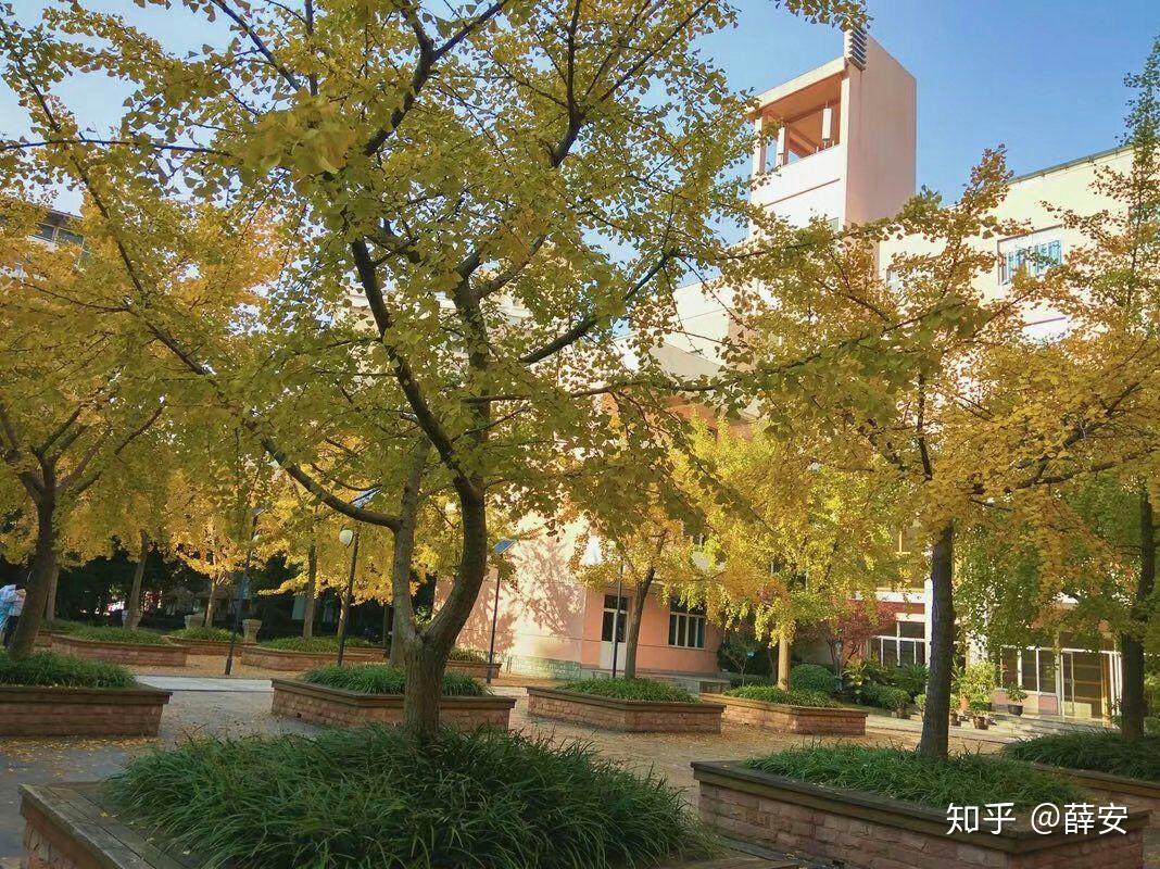 在上海市曹杨中学就读是什么样的体验? - 知乎