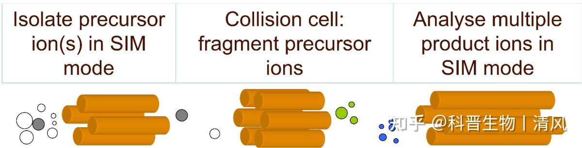 一文带你了解GC-MS - 知乎