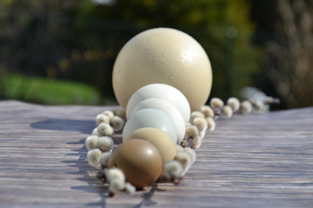 3. 鸭蛋园画法详解