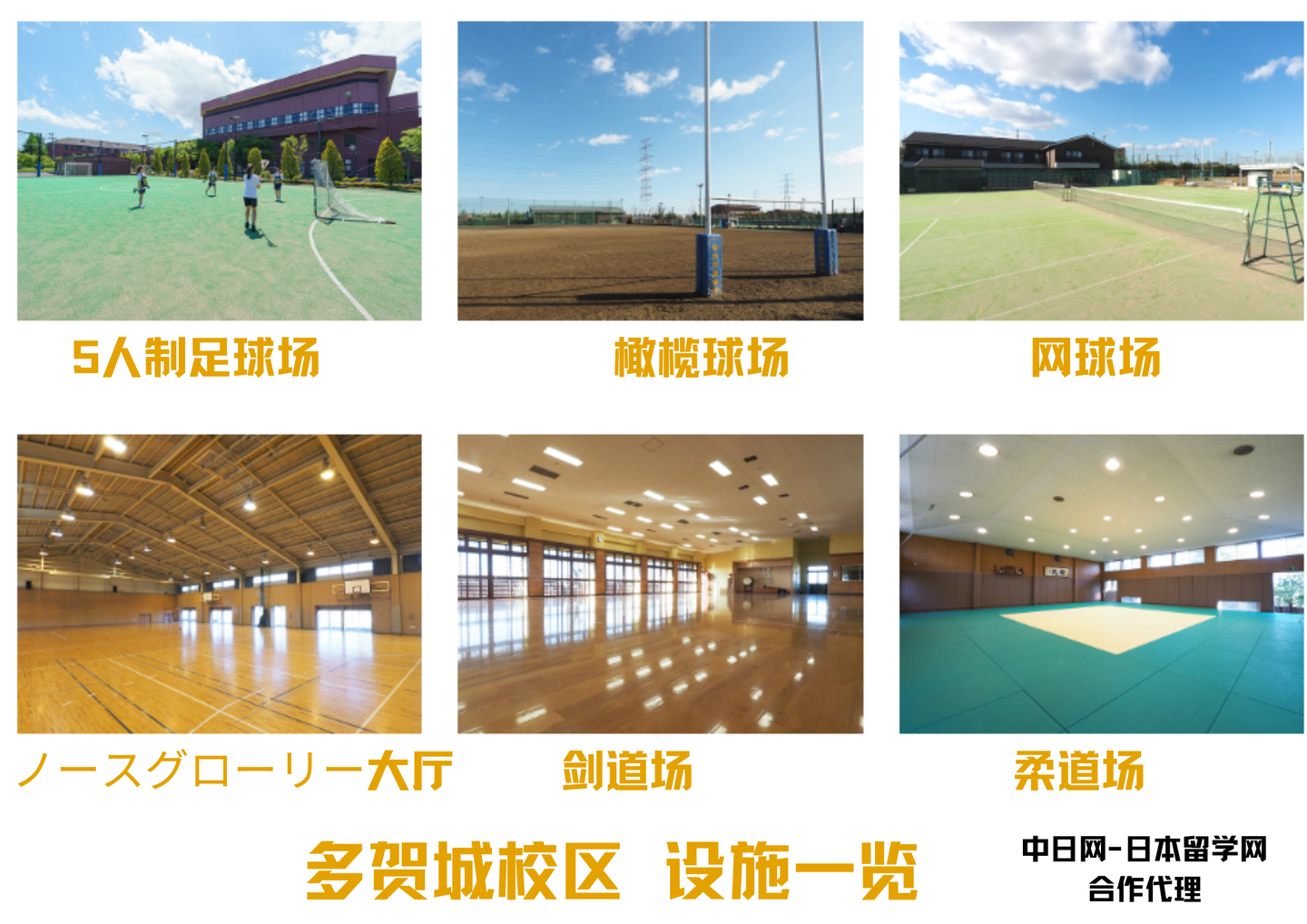 请输入图片描述